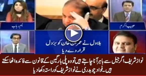 If Nawaz Sharif Wants to Come Out of Jail, He Can Exercise Plea Bargain Law - Fawad Chaudhry