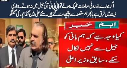 If our internal affairs were in order, the founder of the PTI would not be in jail - Ali Amin Gandapur