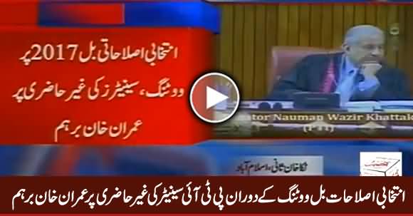 Imran Khan Angry on PTI Senator For Being Absent During Voting in Senate