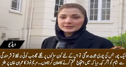 Imran Khan called off protest to conceal his humiliation because no one was on streets - Maryam Nawaz