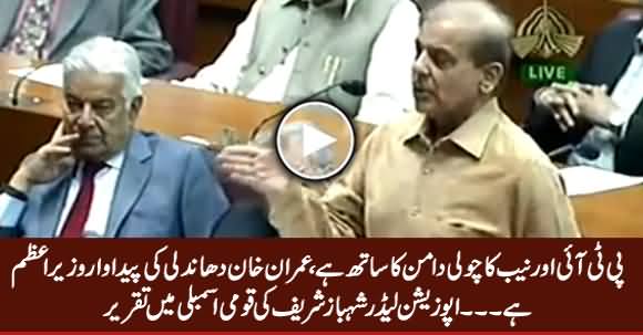 Imran Khan Dhandli Ki Paidawar Wazir e Azam Hain - Shahbaz Sharif Speech in National Assembly