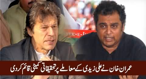 Imran Khan Formed Investigative Committee on The Issue of Ali Zaidi