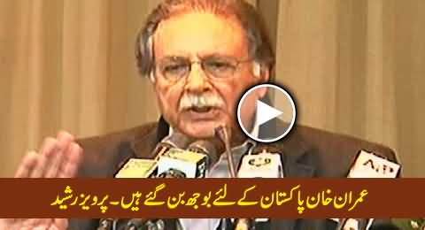 Imran Khan Has Become A Burden For Pakistan - Pervez Rasheed Bashing Imran Khan