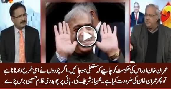 Imran Khan & His Govt Should Resign - Ch. Ghulam Hussain Angry on Shahbaz Sharif's Release