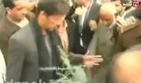 Imran Khan Inaugurates Billion Tree Tsunami Campaign by Planting Sapling at Hazara University