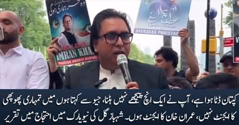 Imran Khan is determined, we are with Imran Khan - Shahbaz Gill speech in front of UNO New York