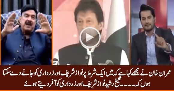 Imran Khan Is Ready to Let Nawaz, Zardari Go Abroad But on One Condition ... Sheikh Rasheed Tells