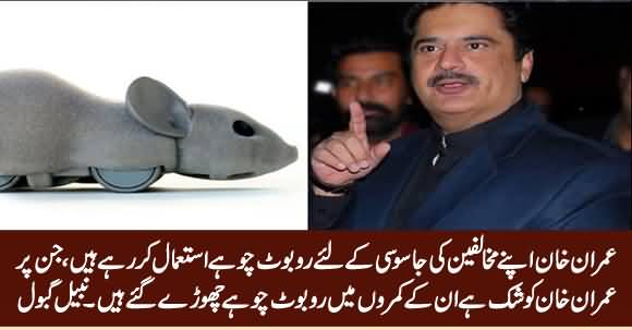 Imran Khan Is Using Robot Rats To Spy His Opponents - Nabil Gabol