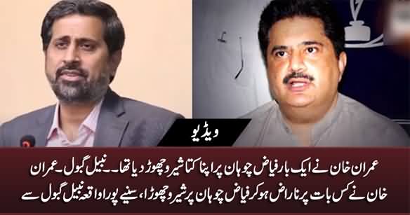 Imran Khan Ne Aik Baar Fayaz Chohan Per Apna Kutta Shero Choor Dia Tha - Nabeel Gabol