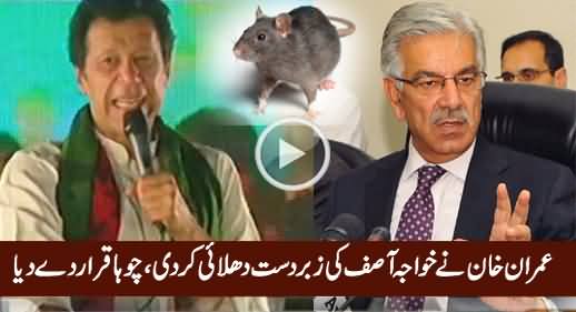 Imran Khan Ne Khawaja Asif Ko Ragar Diya, Choha Qarar De Diya