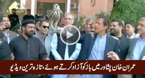 Imran Khan Releasing Falcons in Peshawar Today, Exclusive Video