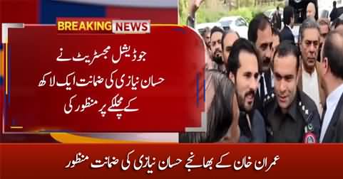 Imran Khan's nephew Hassaan Niazi released on bail