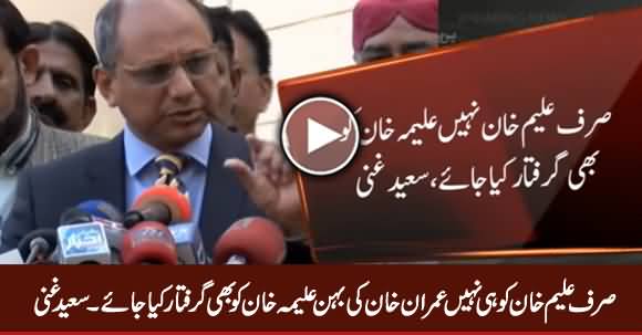 Imran Khan's Sister Aleema Khan Should Be Arrested - Saeed Ghani