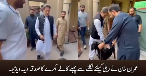 Imran Khan sacrificed black goat before leaving for rally