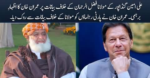 Imran Khan scolds Ali Amin Gandapur for giving statement against Maulana Fazlur Rehman