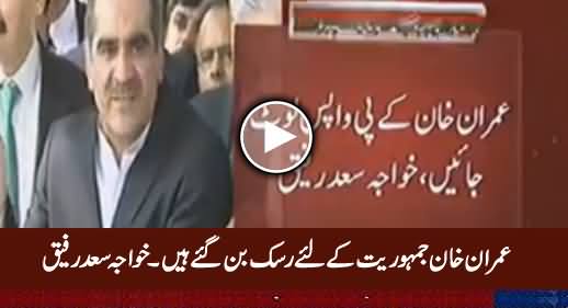 Imran Khan Should Go Back to KPK, He Has Become A Risk For Democracy - Khawaja Saad Rafique