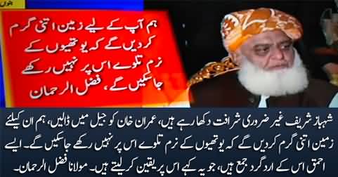 Imran Khan! Stay in your limits, Shehbaz sharif should put Imran in Jail - Maulana Fazlur Rehman