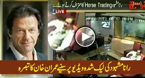 Imran Khan Views on Leaked Video of Punjab Law Minister Rana Mashood