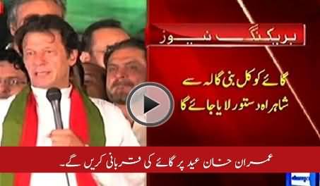 Imran Khan Will Sacrifice His Cow Tomorrow on Shahrah e Dastoor, Islamabad
