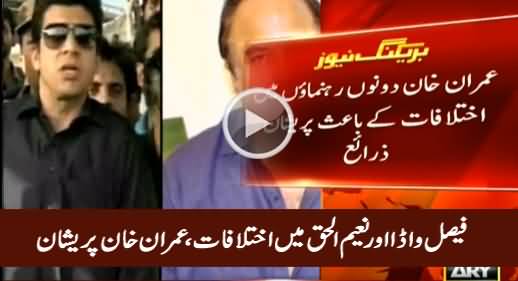 Imran Khan Worried Due to Differences Between Naeem ul Haq & Faisal Vawda