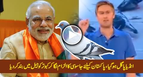 India Holding A Pigeon in Jail, It's Been Accused of Spying For Pakistan