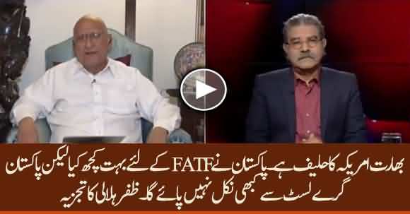 India Will Put Pressure On US & Pakistan's Name Won't Be Removed From FATF Gray List - Zaffar Hilaly