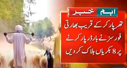 Indian forces kill eight goats after crossing border near Tharparkar