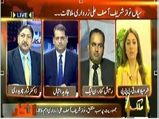 Inkaar (Nawaz Sharif and Asif Zardari Meeting, What Purpose?) - 16th April 2014