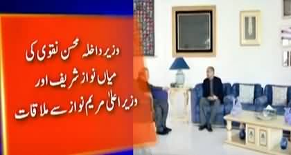 Interior minister Mohsin Naqvi meets Nawaz Sharif & Maryam Nawaz in Lahore