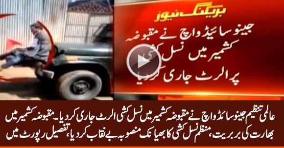 International Organization 'Genocide Watch' Released Report Exposing Indian Brutality In Kashmir