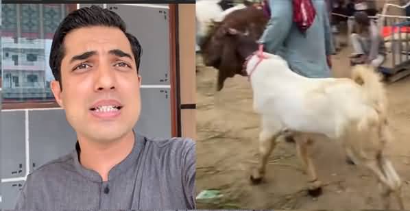 Iqrar ul Hassan Ne Pora Bakra Khareed Kar Ghareeb Ko Qurbani Ke Liye Bhej Dia