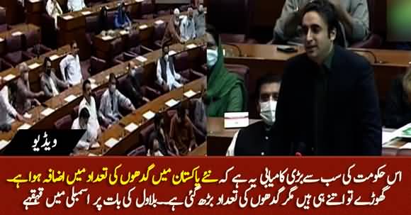 Is Hakumat Ki Bari Kamyabi Gadhon Ki Tadad Main Izafa Hai - Bilawal's Funny Remarks