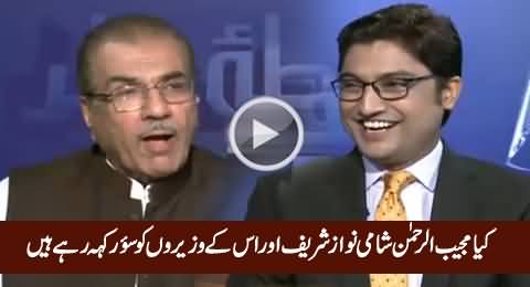 Is Mujeeb-ur-Rehman Shami Declaring Nawaz Sharif & His Ministers As Pig?