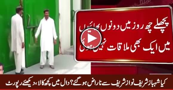 Is Shahbaz Sharif Angry With Nawaz Sharif, What Is Going On in Raiwind, Watch Report