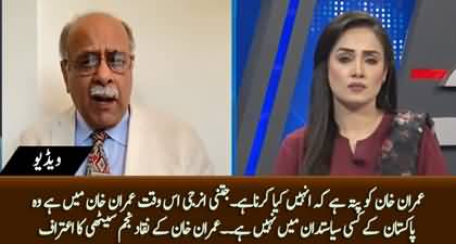 Is Waqt Jitni Energy Imran Khan Main Hai Kisi Pakistani Siasat Dan Main Nhn - Najam Sethi