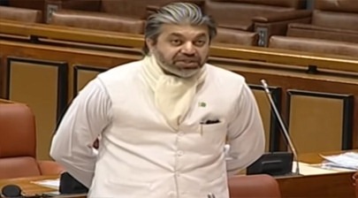 Islam doesn't give a mob right to take a life - Ali Muhammad Khan's speech in senate