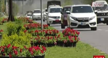 Islamabad decorated with beautiful flowers for OIC conference