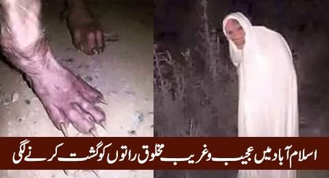 Islamabad Mein Ajeeb o Gharib Makhlooq Raaton Ko Gasht Karne Lagi