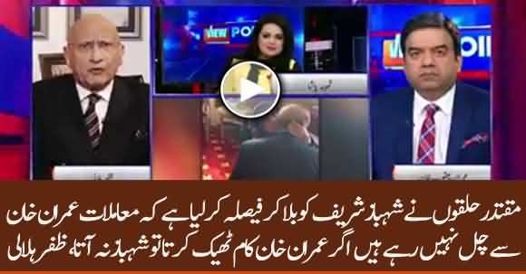 It Has Been Decided To Launch Shehbaz Sharif Instead Of Imran Khan - Zafar Hilali