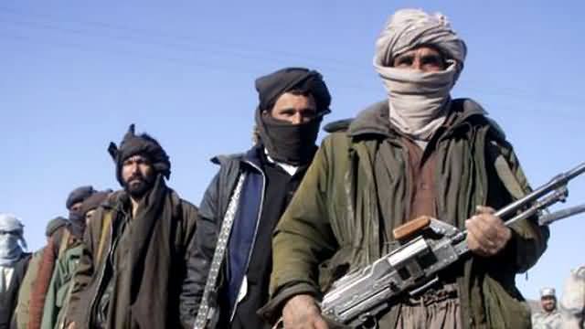 It is Not Our Job to Find the Attackers of Islamabad Kachehri Attack - TTP