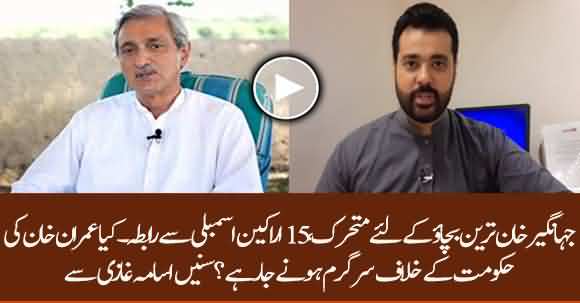 Jahangir Tareen Contacted 15 NA Members To Destabilize Imran Khan's Govt - Usama Ghazi