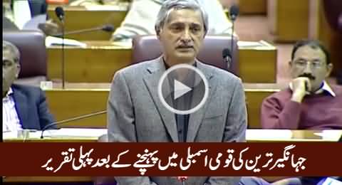 Jahangir Tareen's First Speech in Nation Assembly After Taking Oath As MNA