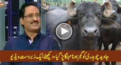 Javed Chaudhry Gets in Trouble in Comedy Show For Being a Gujjar, Must Watch