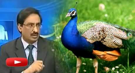 Javed Chaudhry's Analysis on the Death of Nawaz Sharif's Peacock