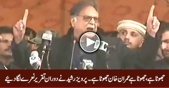 Jhoota Hai, Jhoota Hai, Imran Khan Jhoota Hai - Pervez Rasheed Ke Naare