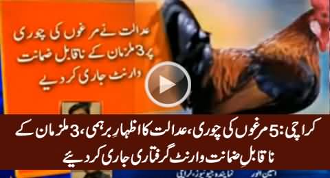Karachi: 5 Murgho Ki Chori Per 3 Mulziman Ke Khilaf Nakabil e Zamant Warrent Jari