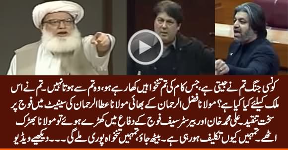 Kaunsi Jang Tum Ne Jeeti Hai? Maulana Ata ur Rehman's Speech Against Army in Senate