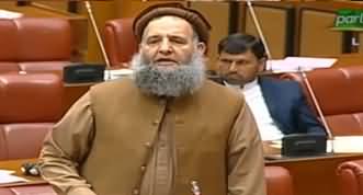 Khatam e Nabuwat Issue in Hajj Form - Noor ul Haq Qadri Speech in Senate