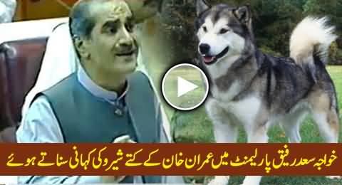 Khawaja Saad Rafique Telling A Story of Imran Khan's Dog Sheru in Parliament