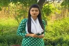 Khufia (Crime Show) On Abb Tak [REPEAT] – 19th August 2017